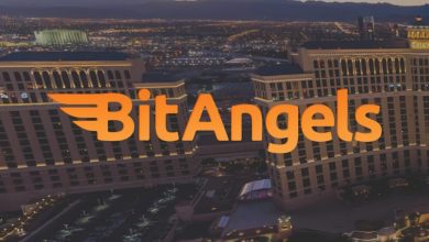 innovation-meets-connection:-the-bitangels-approach-to-empowering-blockchain-entrepreneurs