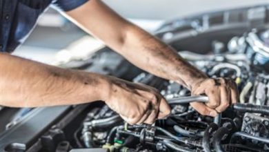 i-tested-6-workshop-manual-sites-so-you-don't-have-to
