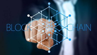 blockchain-participation-models:-from-validators-to-stakers