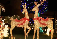 outdoor-christmas-reindeer-light-displays:-common-shapes-and-structural-features